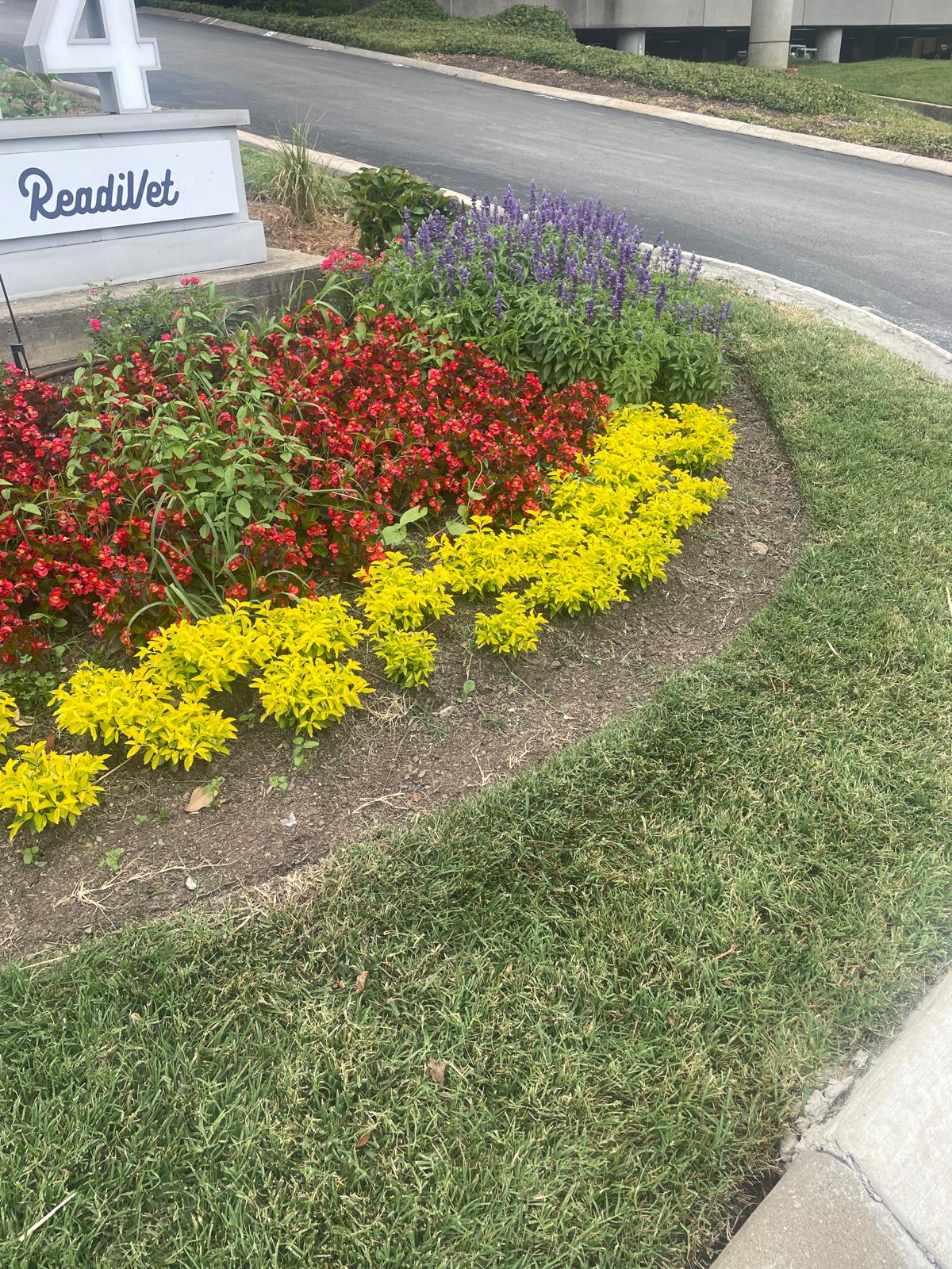 Colorful landscaping with red, yellow, and purple flowers showcasing professional garden design