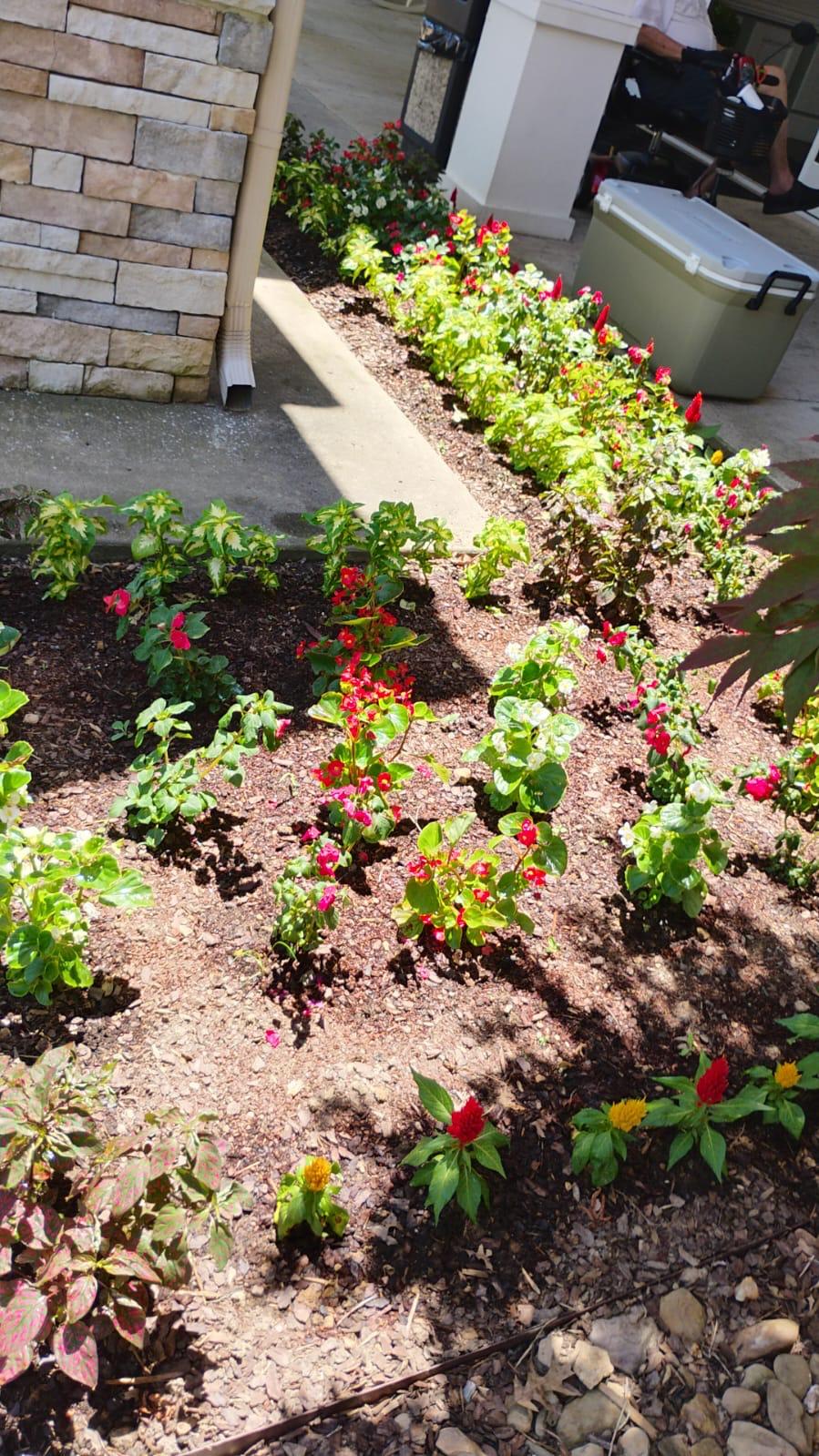 Residential flower bed installation with colorful flowers in fresh mulch around patio hardscaping