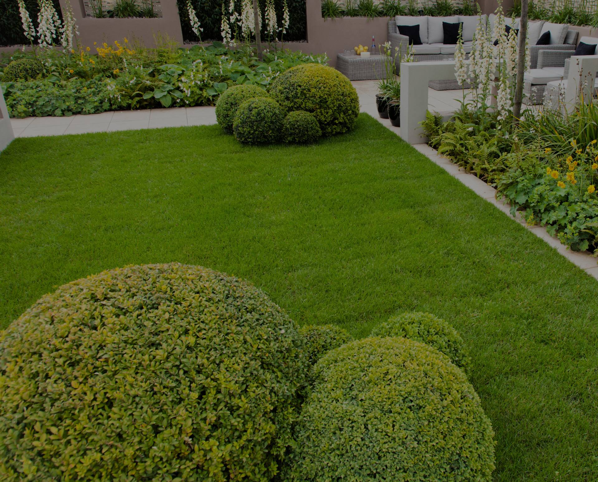 Modern landscaped garden with pristine lawn, topiary bushes, and contemporary outdoor furniture