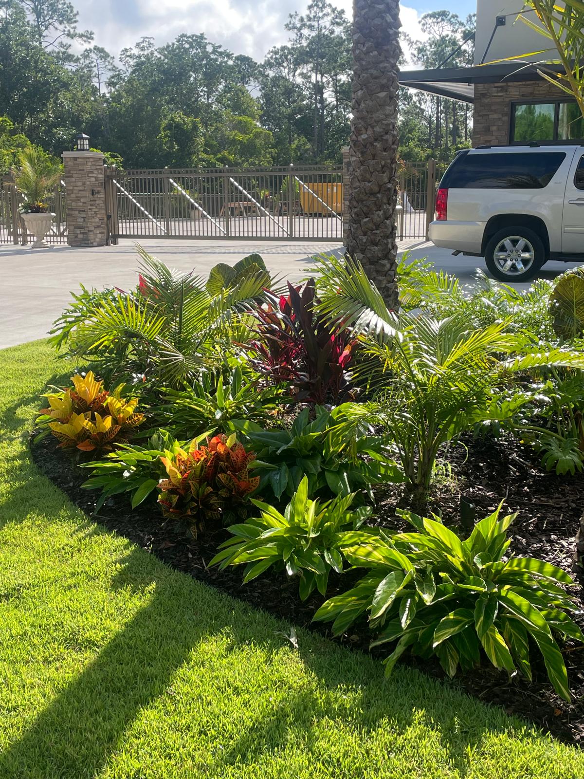 Tropical landscape design with palm trees, colorful crotons, and diverse plant selection